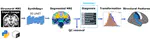 Automated neuroimaging pipeline for structural feature selection using deep learning segmentation applied to adolescent mental disorders